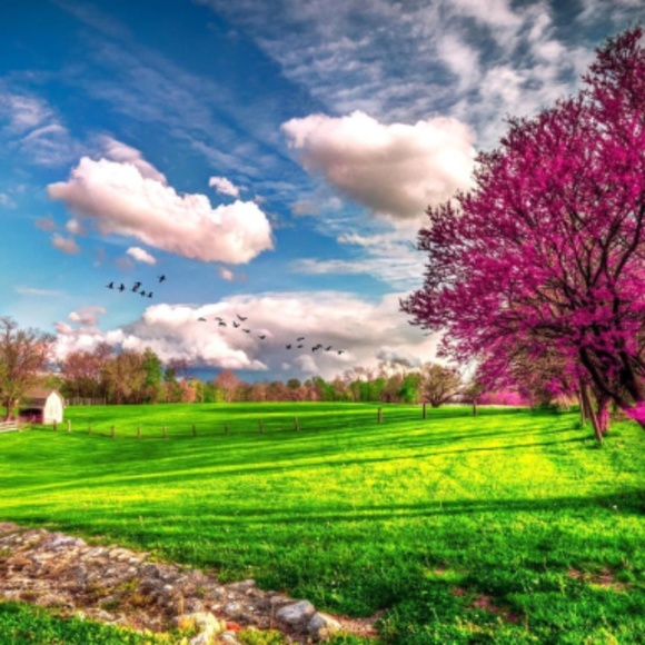 Random items below! - Picture 6 of 16